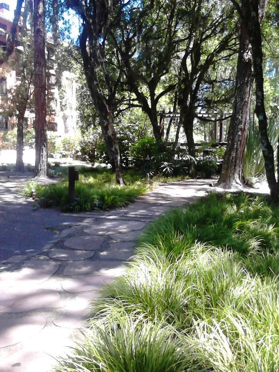 شقة Apartamento Com Vista Da Montanha - غرامادو الغرفة الصورة